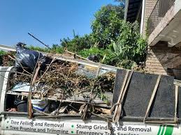 Best Office Cleanout  in Ortonville, MI